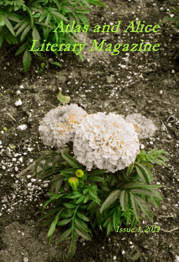 AA First Issue - 2013