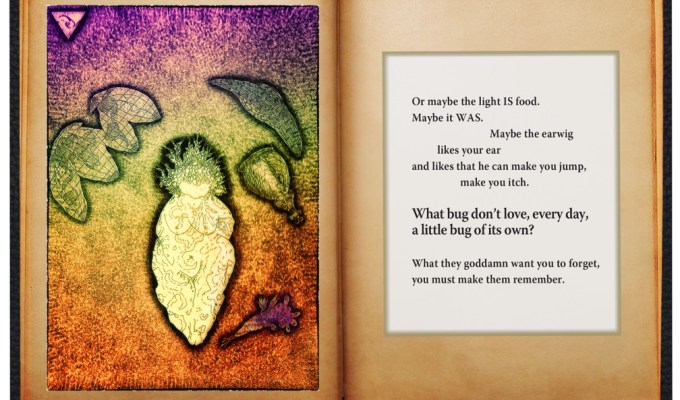 Book Excerpt from Nance Van&nbsp;Winckel