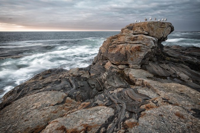 Image by Vaibhav Bhosale via Flickr, CC BY-NC-ND 2.0