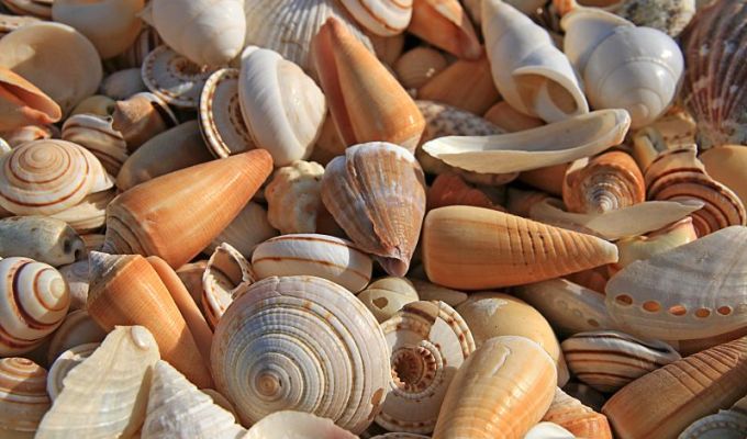 Poetry from Michael&nbsp;Cooper