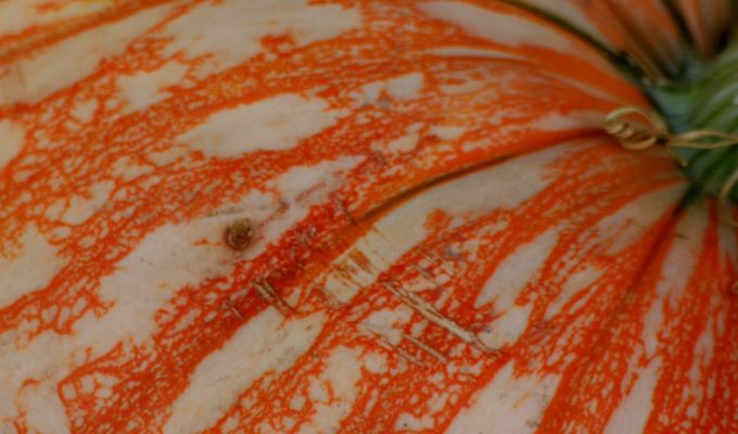 Fiction from Ashlie&nbsp;Allen