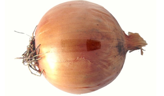 Fiction from Chanel&nbsp;Dubofsky