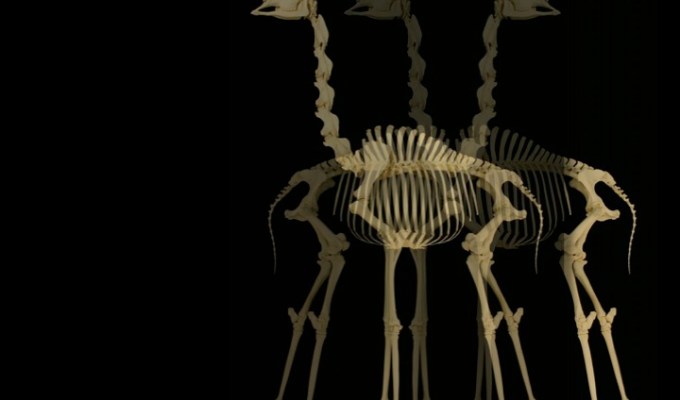 Poetry from Gabrielle&nbsp;Campagnano