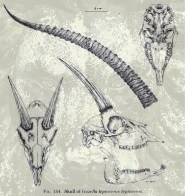 Fiction from James&nbsp;Armstrong