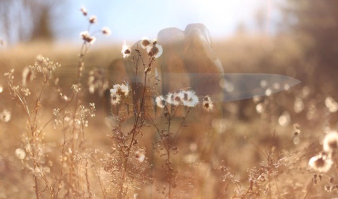 Poetry from Meggie&nbsp;Royer