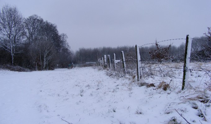 Poetry from Tyler&nbsp;Atwood