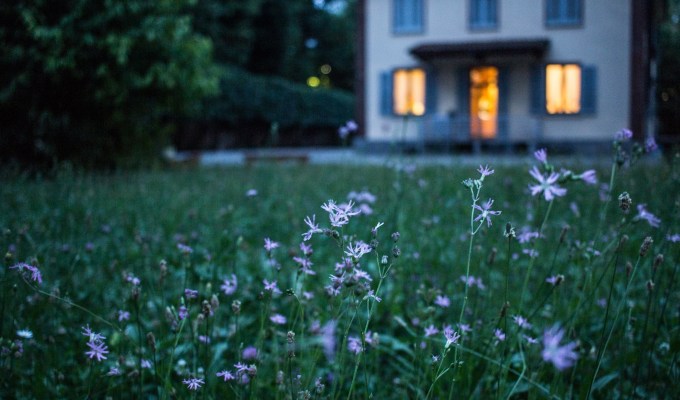 Nonfiction from Marla&nbsp;Lepore