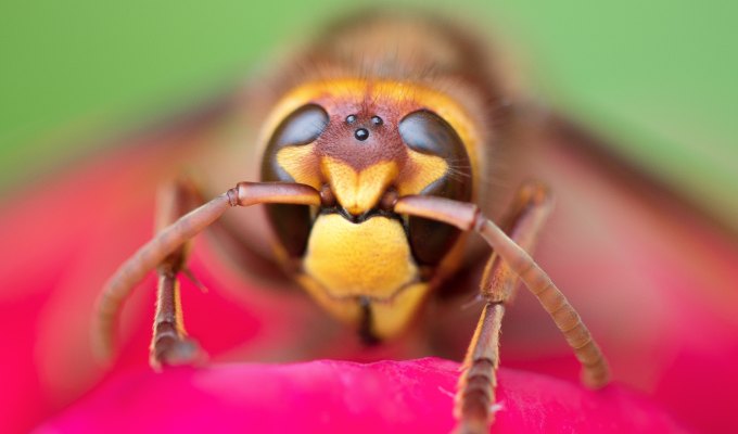 Poetry from A.R.&nbsp;Robins