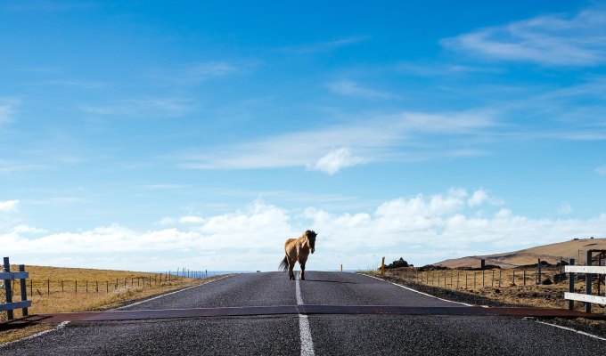 Poetry from Mackenzie&nbsp;Cole