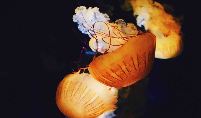 Fiction from Kathryn Megan&nbsp;Starks