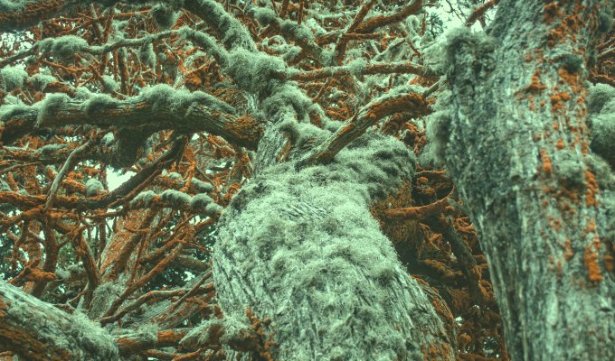 Poetry from Amy Leigh&nbsp;Wicks