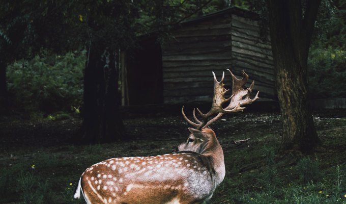 Fiction from Amy Lee&nbsp;Lillard