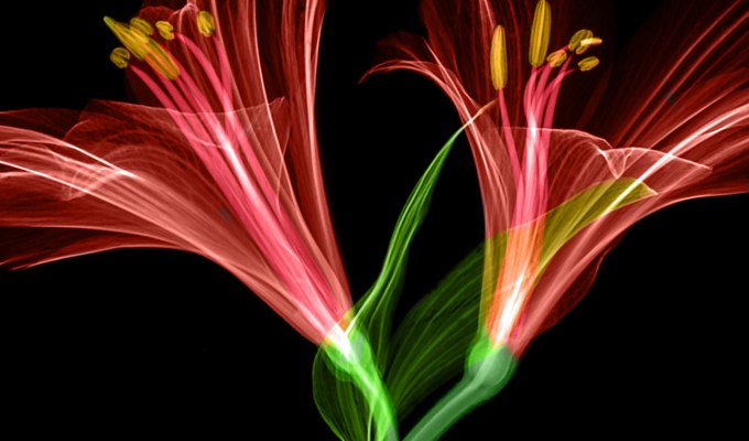 Poetry from Sorayya&nbsp;Moss