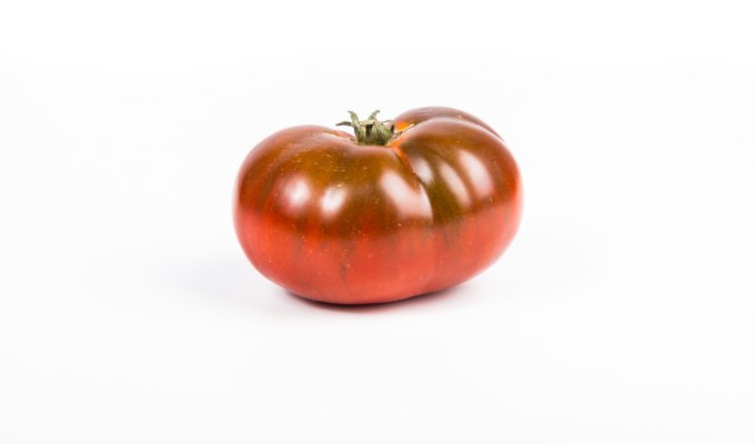 Nonfiction from Kathleen&nbsp;Wise