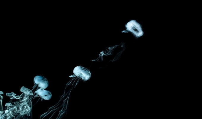 Poetry from Sydney&nbsp;Sheltz-Kempf