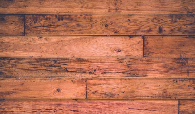 Nonfiction from DiAnne&nbsp;Malone