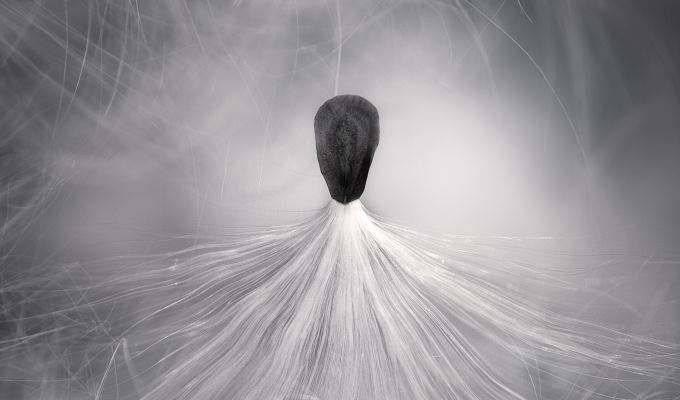 Poetry from Ace&nbsp;Boggess