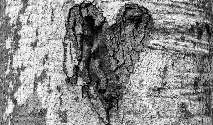 Poetry from Robert&nbsp;Wilson