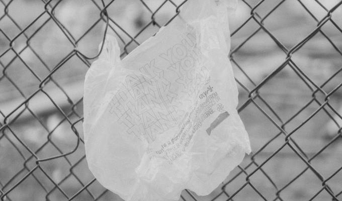 Poetry from Zara&nbsp;Hanif