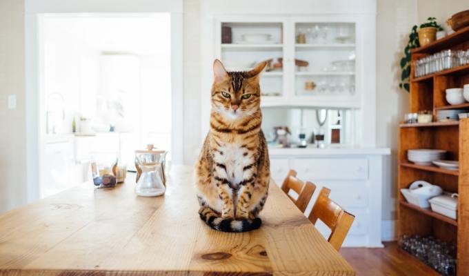 Nonfiction from Sue&nbsp;Mitchell