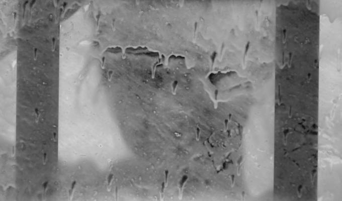 Poetry from Pat&nbsp;Daneman