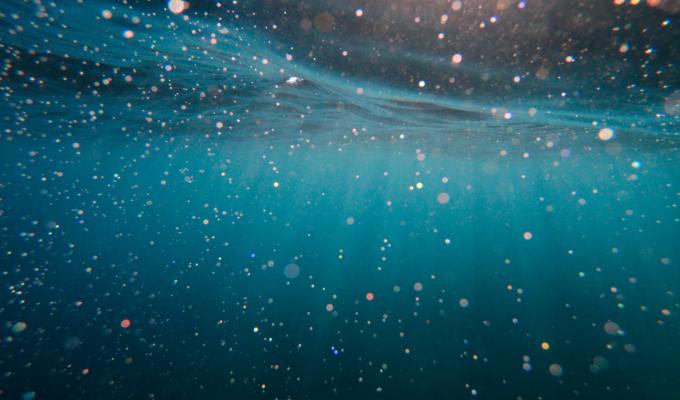 Nonfiction from Despy&nbsp;Boutris