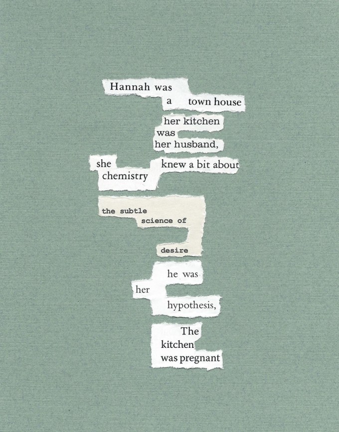 Text: Hannah was / a town house / her kitchen / was / her husband. / she knew a bit about / chemistry / the subtle / science of / desire / he was / her / hypothesis / The / kitchen / was pregnant