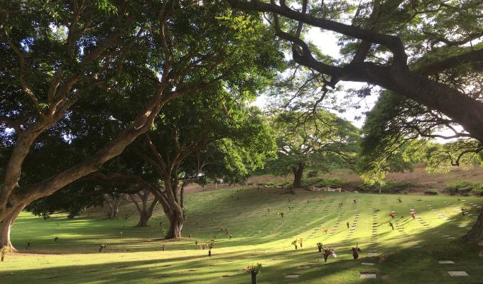 Fiction from Carolyn&nbsp;Fagan