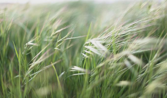 Poetry from Margarita&nbsp;Serafimova