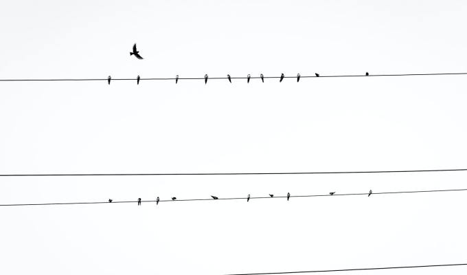 Nonfiction from Bassam&nbsp;Sidiki