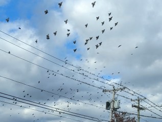 Atlas and Alice — Issue&nbsp;19