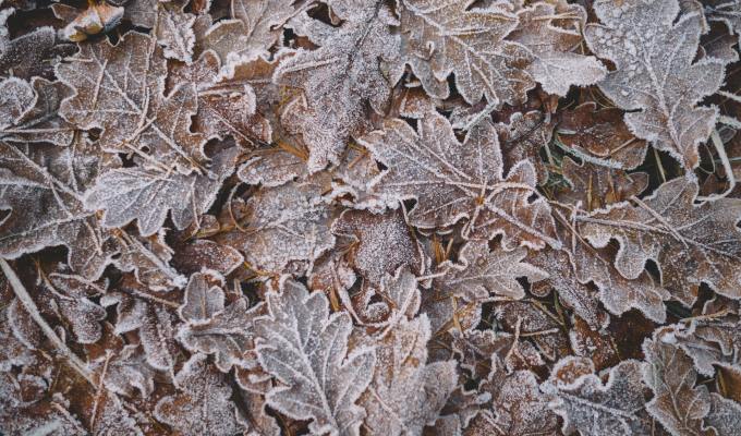 Fiction from Rosie Garland and Meg&nbsp;Pokrass