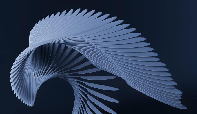 3D rendering of feathers constructing a wing