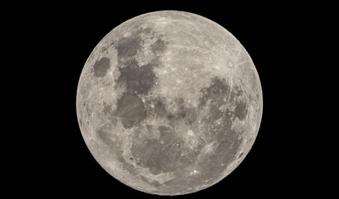 Nonfiction from Gloria&nbsp;Pearlman