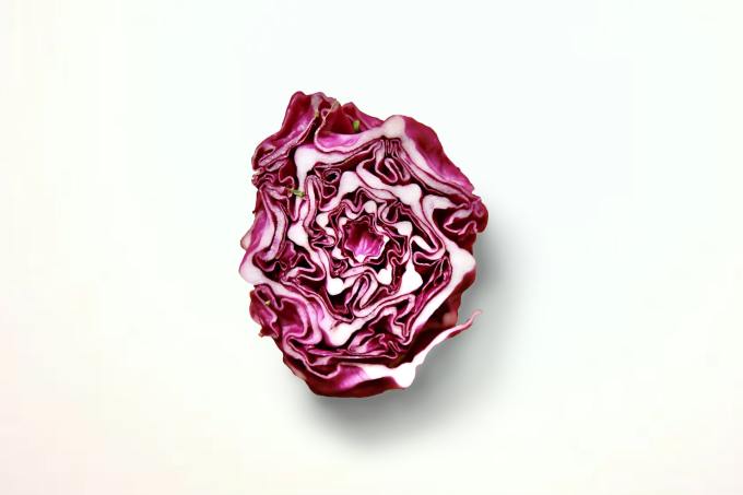 A cut head of red cabbage