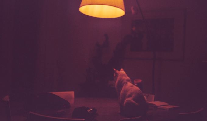 Poetry from Ashley&nbsp;Hajimirsadeghi