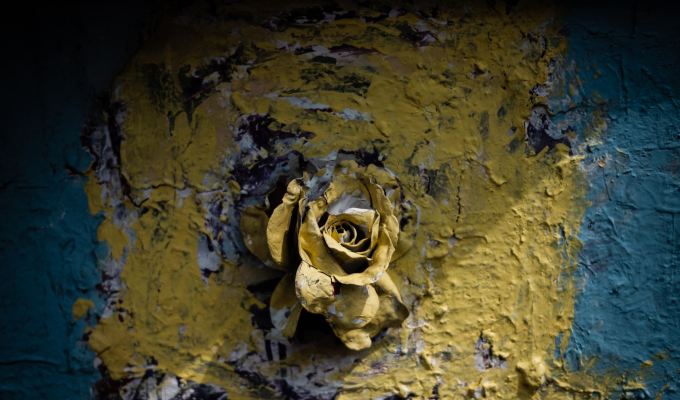 Poetry from Réka&nbsp;Nyitrai