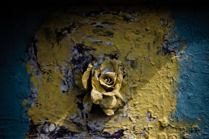 Yellow painted rose on yellow painted concrete