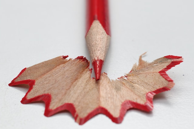 Red pencil tip atop shavings