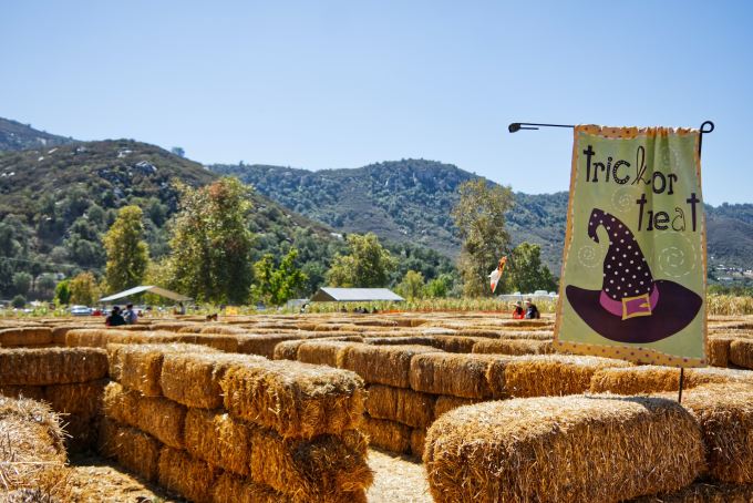 A hay maze with a flag that reads "trick or treat"