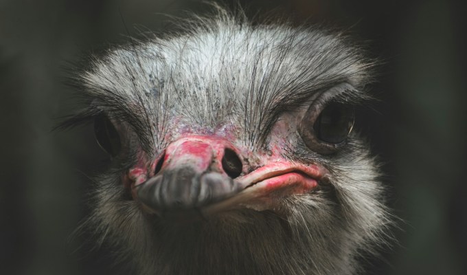 Fiction from Michael&nbsp;Czyzniejewski