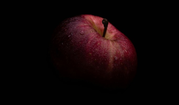 Fiction from Elena&nbsp;Zhang