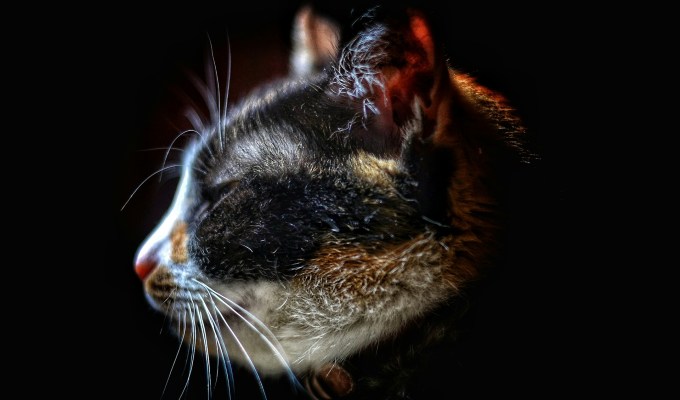 Fiction from Kim&nbsp;Magowan